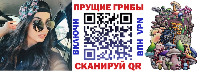 Псилоцибиновые грибы ЛСД  магазин продажи   Киреевск 
