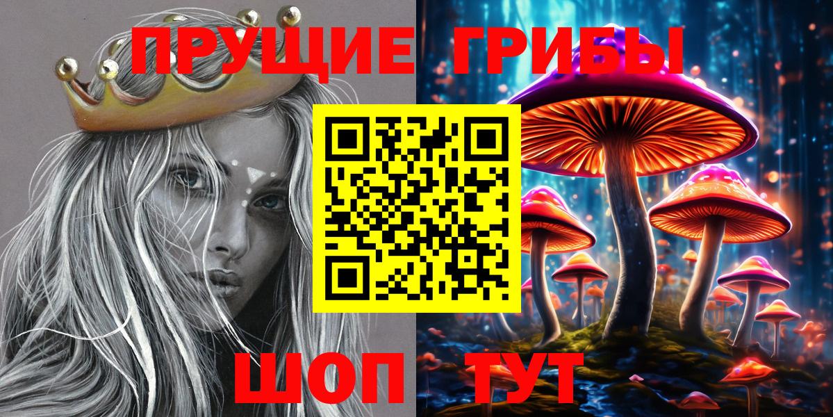 Киреевск  Галлюциногенные грибы Psilocybe  Вход с VPN 